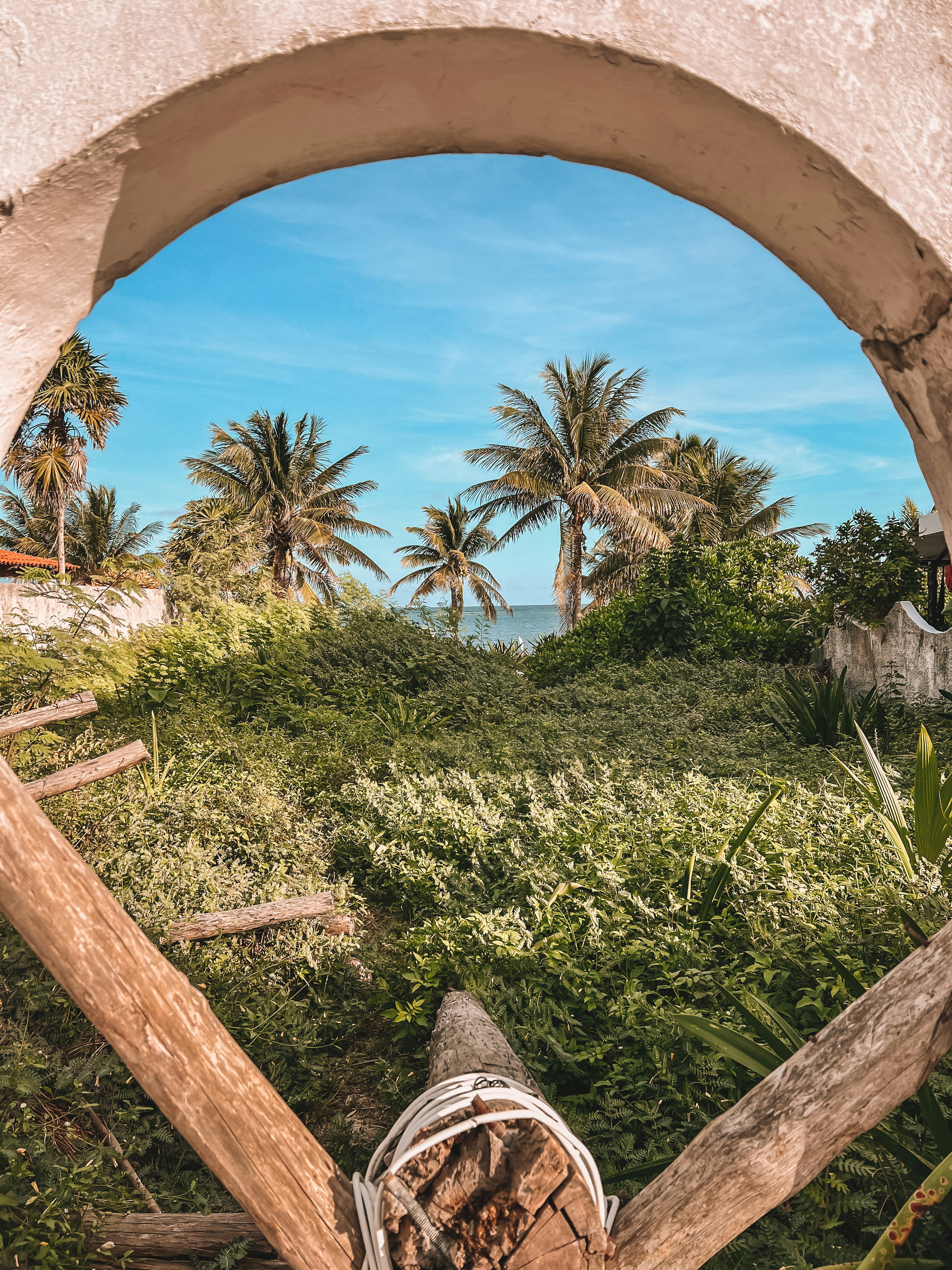 Archway view of palm trees and the Caribbean Sea in the Riviera Maya