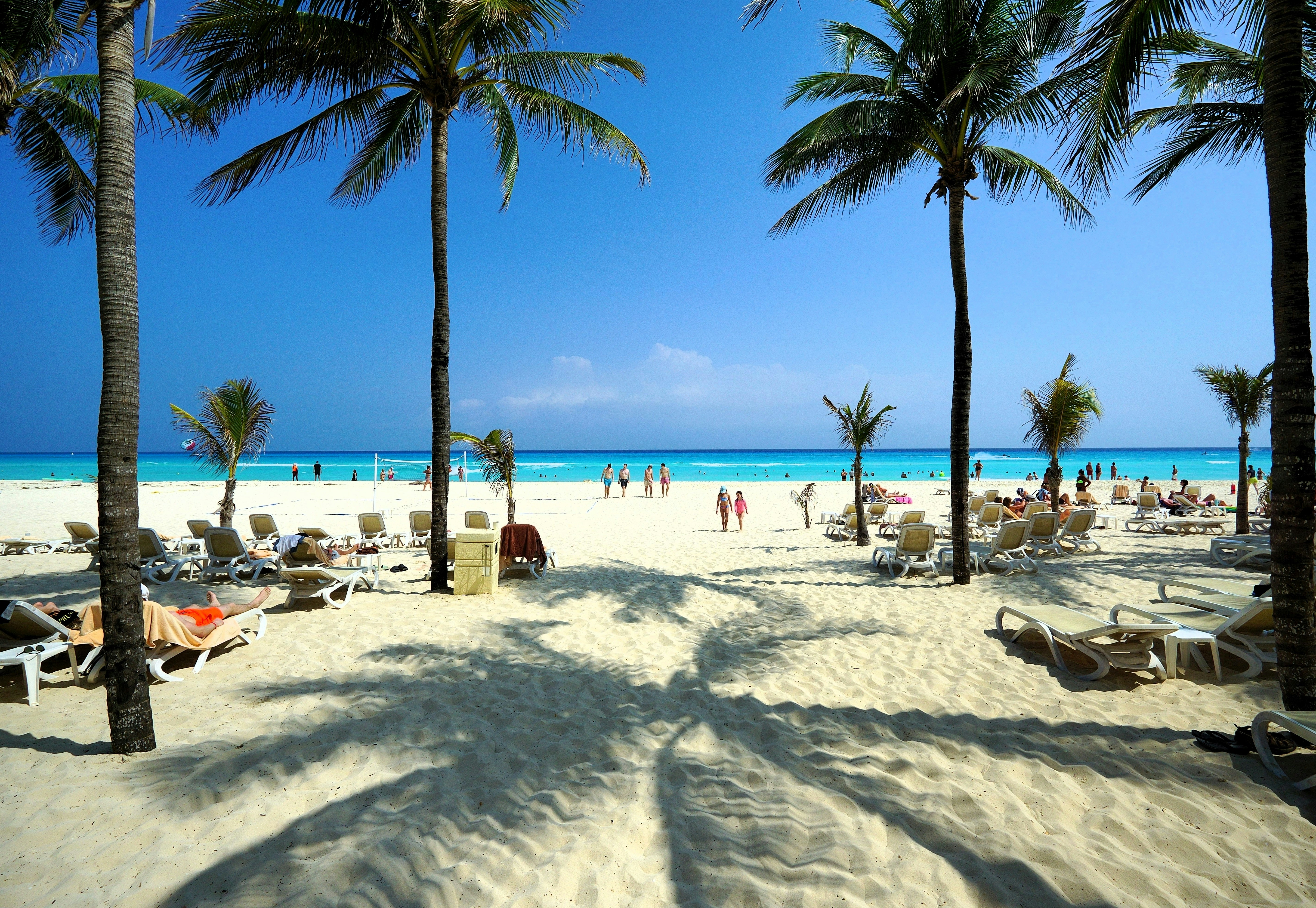 Beach in Playa del Carmen with palm trees